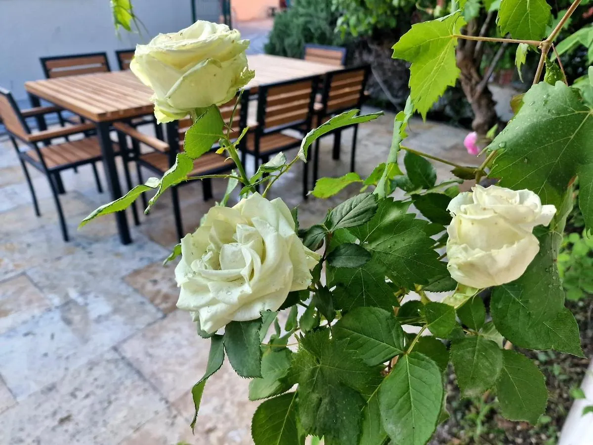 Premium Apartment Alba Rosa Split Croatia